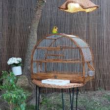 Parrot Cage